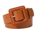 Pu Leather Belt Chic Vintage Jeans Snake Pattern Belt Women Dress Skirts Pin Buckle Belt for Daily Wear Party Outfits Formal Occasions Fashion Enthusiasts Waist Accentuation. 