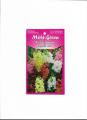 Pack of 5 seasonal Flowers Seeds By More Green. 