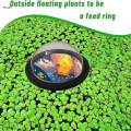 Dome Shape Aquarium Plant Corral Outdoor Pond Viewing Dome. 