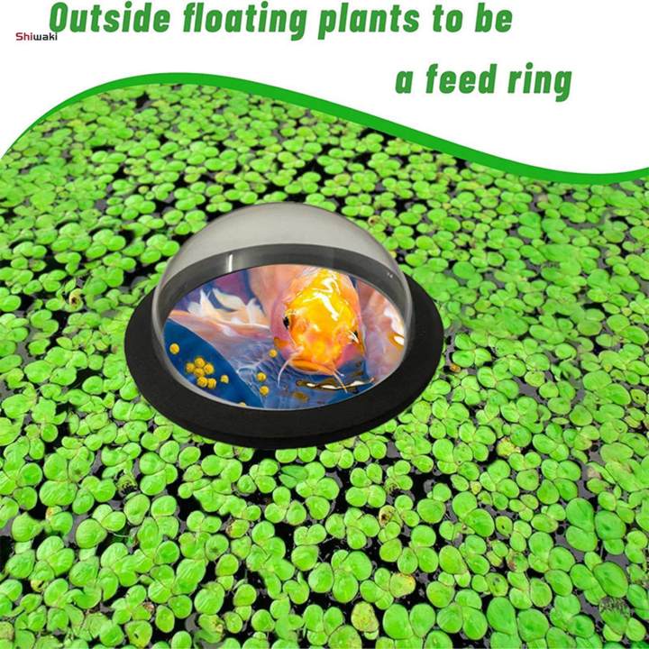 Dome%20Shape%20Aquarium%20Plant%20Corral%20Outdoor%20Pond%20Viewing%20Dome%20-%20Image%203