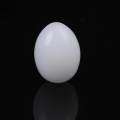 10Pcs White Solid Plastic Solid Pigeon Eggs Dummy Fake Eggs Hatching Supplies. 