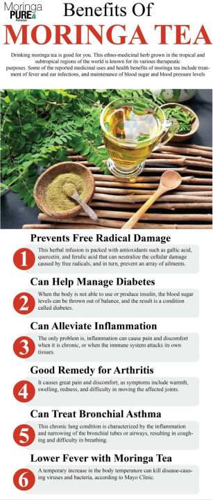 Moringa%20Tea%20Pakistan:%2020%20Moringa%20Oleifera%20Herbal%20Tea%20Bags%20-%20Image%205