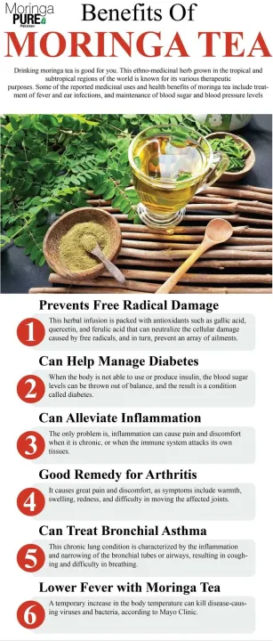 Moringa%20Tea%20Pakistan:%2020%20Moringa%20Oleifera%20Herbal%20Tea%20Bags%20-%20Image%205