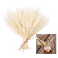 100 Stems Dried Wheat Stalks, Natural Dried Wheat Sheaves Fall Flower Arrangement Wheat Bouquet Bundle for DIY Home Table Wedding Xmas Decor. 