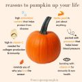 Pumpkin Seeds (Halwa Kaddu) Fresh Seeds - For Kitchen Gardening. 