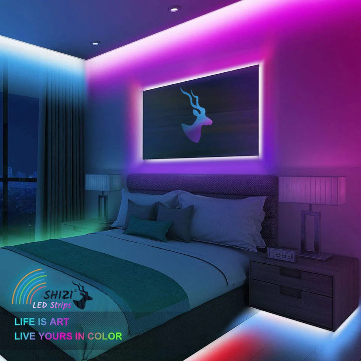 Shizi Rgb Led Strip Light Waterproof Remote Control Color Changing 3528 - Complete Kit