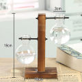 Hydroponic Vase-Vintage Desktop Plant Terrarium Planter Bulb Glass Vase- Water Planting Propagation Stations Home Decoration. 