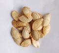 Pumpkin kaddo fresh seeds Organic Summer Vegetable Seeds. 