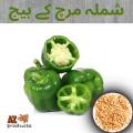 Capsicum /Bell pepper Seeds  (shimla mirch Ke Beej)(شملہ مرچ کا بیج)/hybrid /Germinated/Best Quality/Fast growing/Excellent Germination/High Quality/Healthy Vegetable Seeds/Vegetable/Home/Kitchen/Gardening seeds/beej/Vegetables Seeds Pack. 