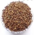 Mehndi Seeds Oil (Henna Seeds) Cold Pressed – Pakistan Pansar:. 