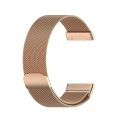 For Fitbit Versa 3 / Fitbit Sense Magnetic Milano Watch Band, Size:Large Size. 