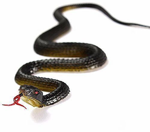 Artificial Rubber Snake (prank and fun)