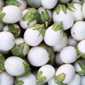 20+ F1 Hybrid White Eggplant, Baingan, Brinjal - Kitchen Gardening Vegetable Seeds. 