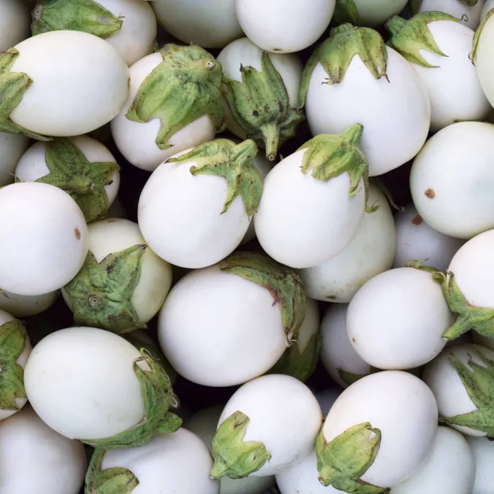 20+%20F1%20Hybrid%20White%20Eggplant,%20Baingan,%20Brinjal%20-%20Kitchen%20Gardening%20Vegetable%20Seeds%20-%20Image%203