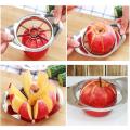 Stainless Steel Apple Fruit Vegetable Slicer Cutter / Apple Slicer With Core Remover. 