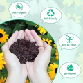 Coco Peat 1kg – Organic Cocopeat for Seedlings & Seed Sowing Mix  Ready to Use Potting Soil & Potting Mix  Natural Soil Conditioner with Moisture Retention for Healthy Root Growth  Ideal for Home Garden & Nursery Use Umbiz. 