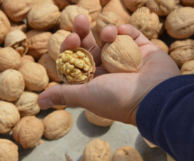 Kaghazi Akhrot (soft shell) 100% Imported from Quetta walnuts - 1 KG / 1000g