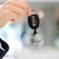 2 Pcs Badge Tether with Clips Retractable Badge Reel Carabiner Reel Clip Card Holders for ID Card Key Badge Holder. 