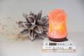 250 million year old salt from the Himalayan Mountains d'aplomb 100% Authentic Natural Himalayan Salt Lamp Hand Carved Flower Rose Pink Crystal Rock Salt. 