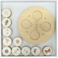 Life Cycle Toy Interesting Life Cycle Jigsaw Puzzles Plant Growth Matching Game. 