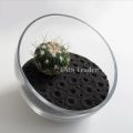 Camel Brown Sand - Sea Sand - Best for Planted and Fresh Water Fish Tank - Terrarium Sand - DIY Epoxy Resin Beach Sand - 1 KG. 