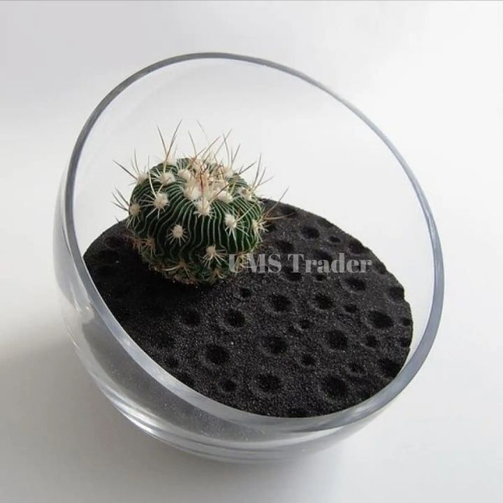 Camel%20Brown%20Sand%20-%20Sea%20Sand%20-%20Best%20for%20Planted%20and%20Fresh%20Water%20Fish%20Tank%20-%20Terrarium%20Sand%20-%20DIY%20Epoxy%20Resin%20Beach%20Sand%20-%201%20KG%20-%20Image%209