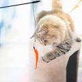 Cat Toy Stick Mouse - Cat Teaser Toy - Make your Cat Playful. 