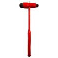 Neurological Reflex Buck Hammer. 