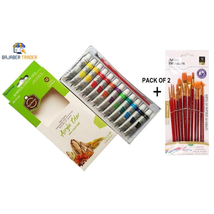12Pcs Acrylic Color Paint Set 12Pcs Artist Painting Brushes Set Pack Of 2 Multicolor