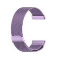 For Fitbit Versa 3 / Fitbit Sense Magnetic Milano Watch Band, Size:Large Size. 