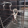 Metal Cage Door Lock for Pets & Birds Cages - High Quality Metal Cage Lock for Parrots. 