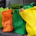 Durable Non-Woven Bags for Everyday Use 13" x 17"+8". 