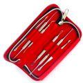 Dexam 6-pieces Dermatologist Set Professional Stainless Steel Beauty Kit Blackhead Blemish Remover Pimple Acne Spot Needles Pore Cleaner Zit Removing Tools For Nose Face - With Red Organized Case. 