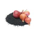 Onion Seeds ONION SWAT ONE SEEDS TOP QUALITY SEEDS By HMS Product. 