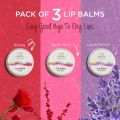 Tuffy Organics lip balm Bundle of 3 for Dry Dark lips, Moisturizes and Brightens Lips. 