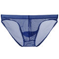 Man Panties Transparent Panties Thin Mesh Underwear Temptation Breathable Briefs. 