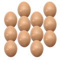 Realistic Artificial Eggs Fake Chicken Eggs – Nesting Training & Decorative Use (Multiple Packs). 
