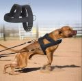 Weight Pulling Dog Training Harness. 