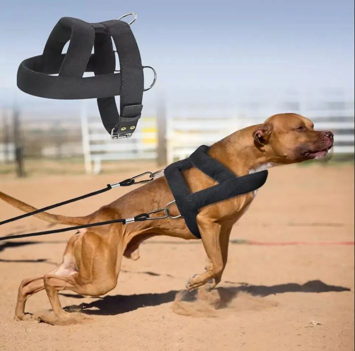 Weight Pulling Dog Training Harness