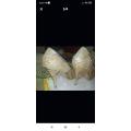 bridal shoes. 