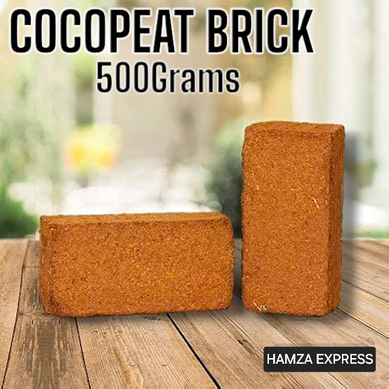 Coco Peat Brick 500 Grams imported Sowing Media For Gardening BY HAMZA EXPRESS