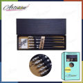 MEMORY 555 Series Calligraphy Dip Pen Comics Pen 5 Holder 10 Nib Set Made in Korea. 
