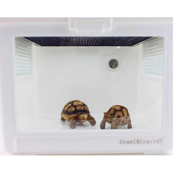 Mini%20LCD%20Digital%20Thermometer%20Hygrometer%20Fridge%20Freezer%20tester%20Temperature%20Humidity%20Meter%20detector%20-%20Image%206