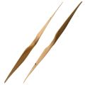 XOAR PJP-N 13x6.5 Drone Wood Propellers. 