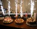 Pack of 6 - [A-N-A-R] Candles For Birthday Cake. 
