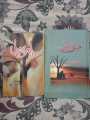 PACK OF 2 BOOKS ISHQ E AATISH AND AMAR BAIL BEST URDU READING NOVELS/ BEST SELLING.. 