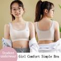 Cotton Bra Beautiful Back Bra camisole Student Underwear Wrapped Chest Brassiere Without Steel Ring. 