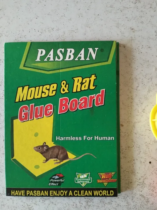 Super%20Glue%20Mouse%20Trap%20Book%20%E2%80%93%20Heavy%20Duty%20Sticky%20Pad%20Rat%20&%20Rodent%20Catcher%20(Non%E2%80%91Toxic,%20Reusable,%20Indoor/Outdoor)%20-%20Image%202