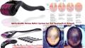 Derma Roller System For Hair And Skin ( 540 Micro Needles ) Needle Size 1.0mm. 