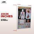 Human Heart and The Blood Circulation System Wall Chart | HD picture Presentation on 200 grams Laminated card 23*36 inches. 